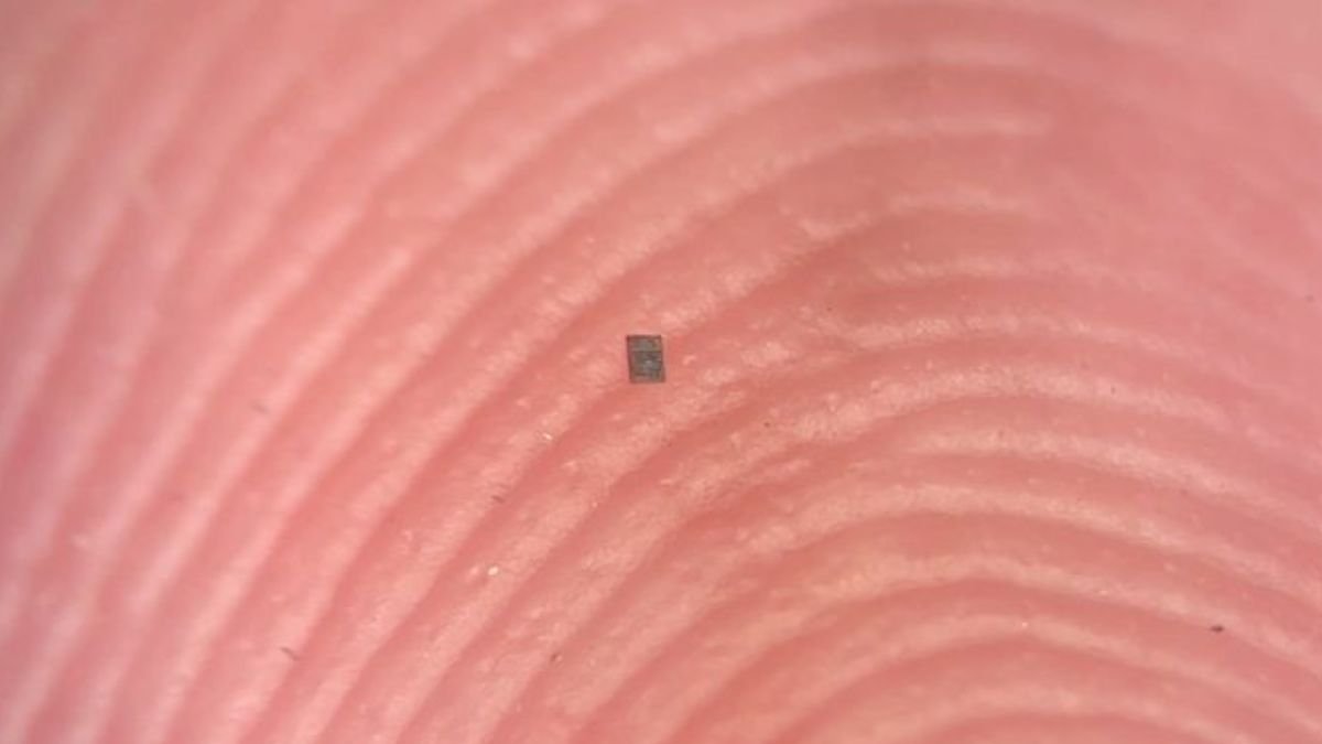 أصغر روبوت قابل للبرمجة في العالم بالكاد يمكن رؤيته ScienceAlert