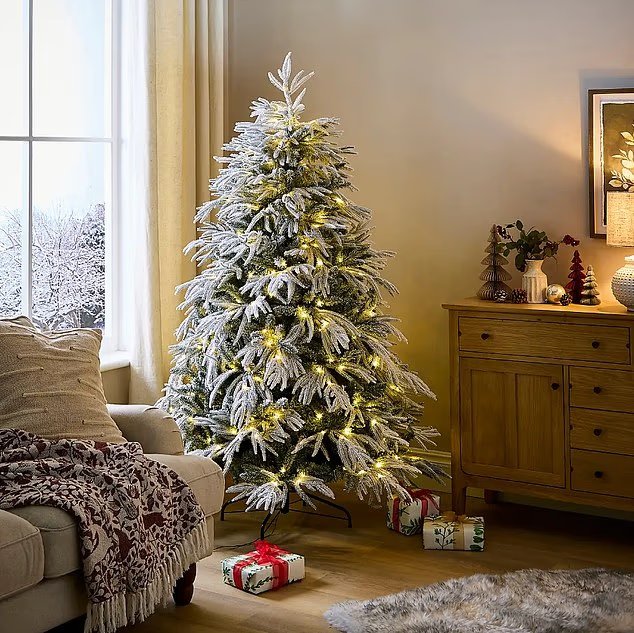 Have a purrfect Christmas! Feline charity urges cat owners to avoid stressing their pets over festive period Have a purrfect Christmas! Feline charity urges cat owners to avoid stressing their pets over festive period