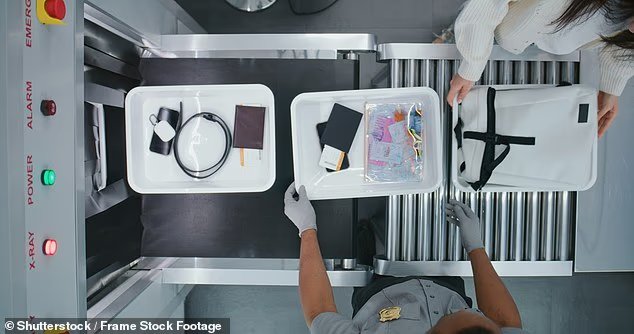 TSA also encouraged passengers traveling with gifts this holiday season to use gift bags, which they can easily open, or gift boxes with lids they can remove (stock image)