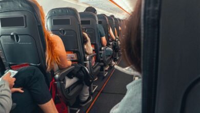Traveler Caught Cursing at Flight Attendant After Plane Delay in Viral TikTok