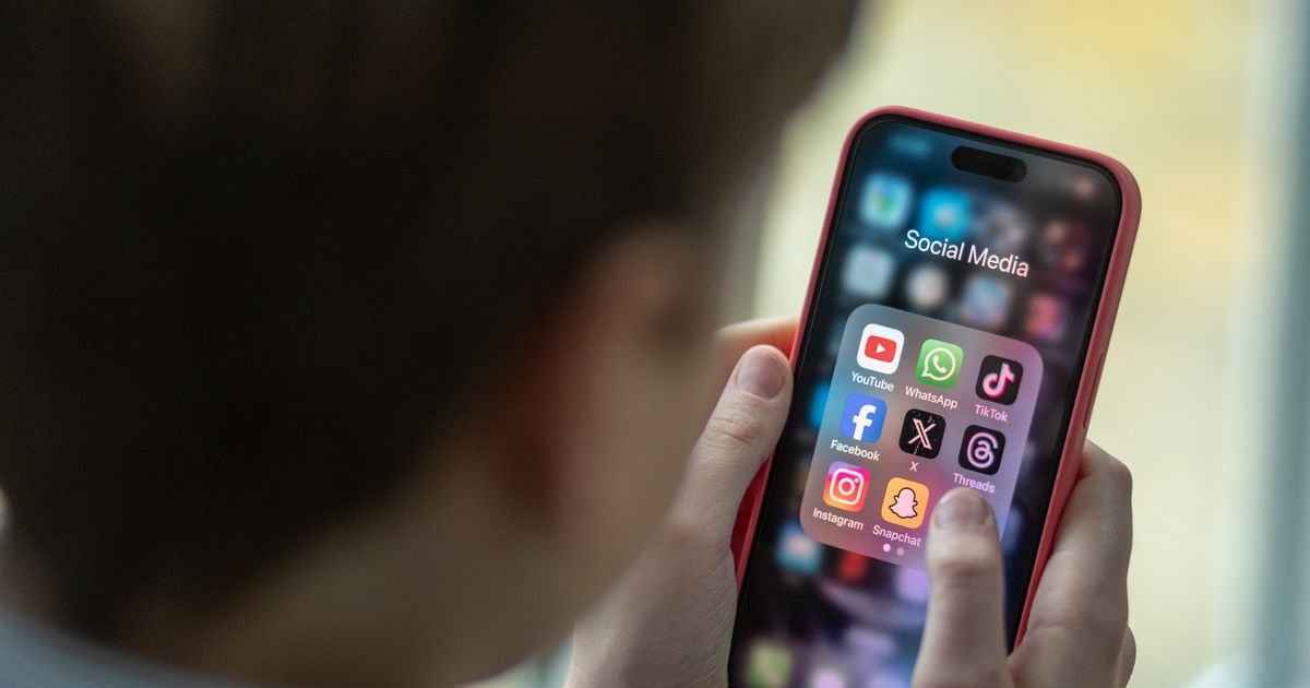 Social media chipping away at attention spans, Ofsted chief warns
