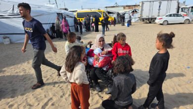 It became known when Trump may introduce a new structure for managing Gaza