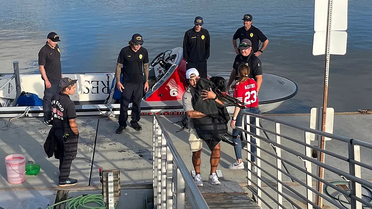 Missing dog tracked to coast with AirTag swept out to sea rescued by lifeguards