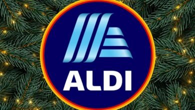 Every New Seasonal Item Coming to Aldi This December