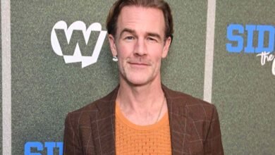 James Van Der Beek Postpones Today Show Appearance Due to Pink Eye