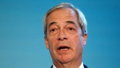Nigel Farage accused of telling pupil to go back to Africa