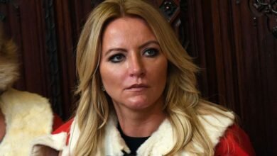 Baroness Mone fleecing taxpayer wasnt one