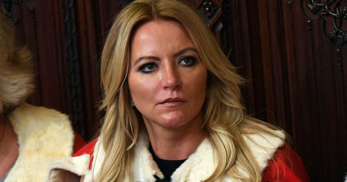 Baroness Mone fleecing taxpayer wasnt one