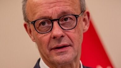 German Chancellor files dozens of lawsuits over insults