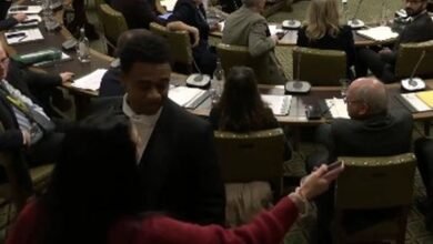 Furious woman kicked of of Parliament debate after heckling MPs over digital ID