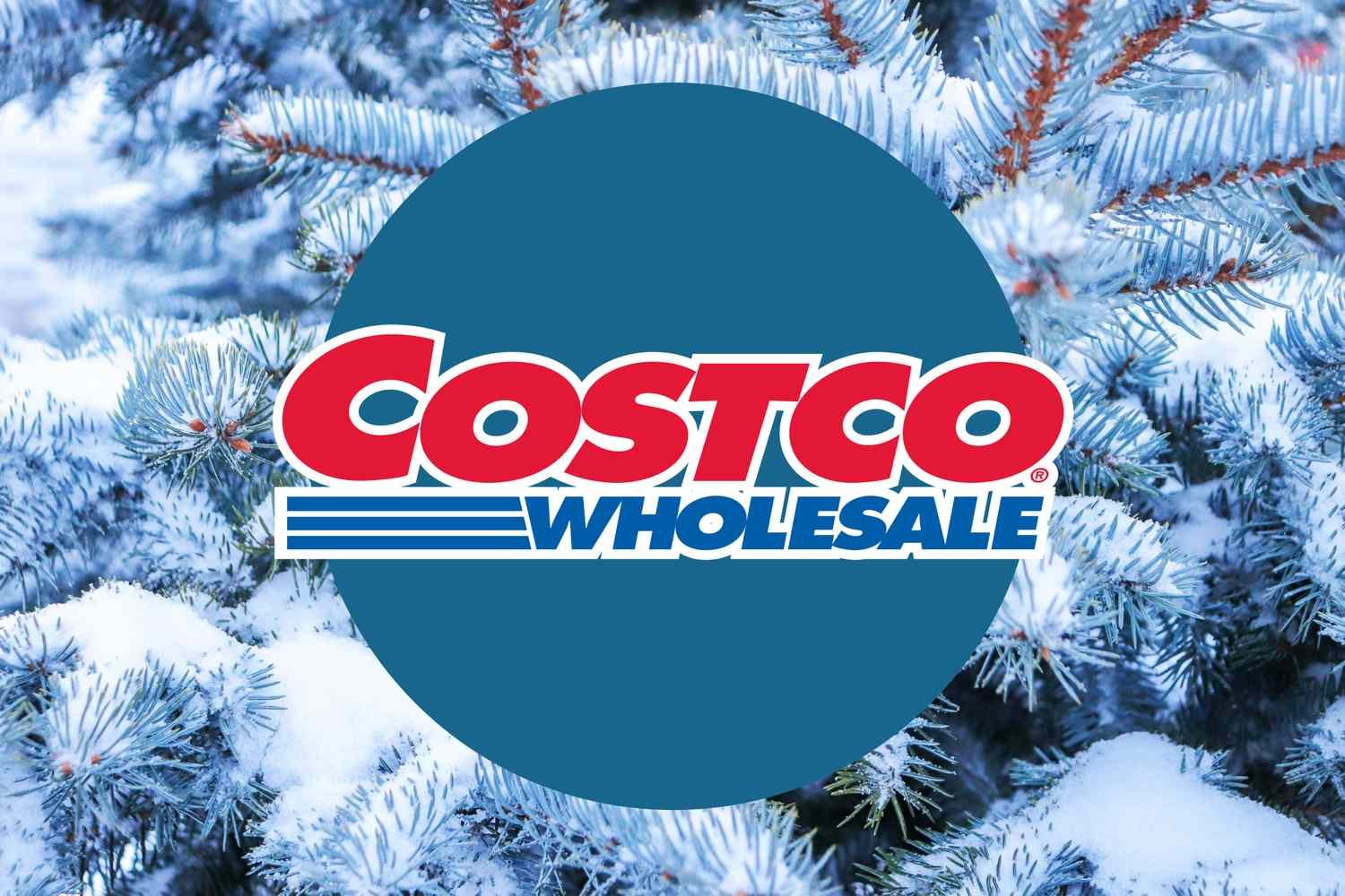 The 7 Best New Costco Finds This December