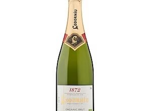 I just tried hundreds of sparkling wines – these are the 10 bottles Id recommend to buy for Christmas, from just £8