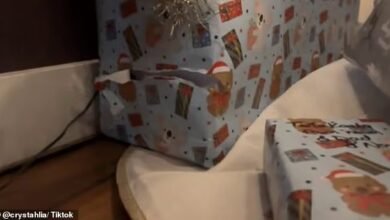 Mums controversial response after discovering her six-year-old sons sneaky act before Christmas The audacity