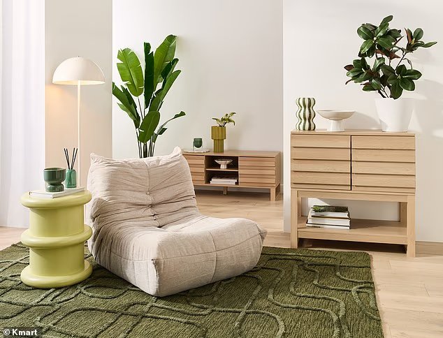 Why thousands of Kmart shoppers are about to flood the store to snap up the item of the year