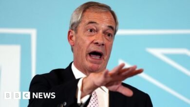 Nigel Farage avoids police investigation into election spending