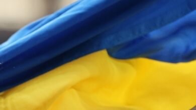 “Civilians are suffering” Ukrainian Armed Forces mine the outskirts of Kherson with “Lepestals”