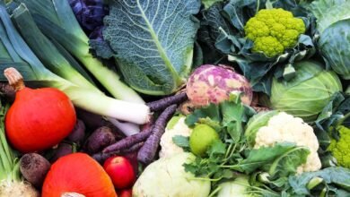 The Produce Problem Reshaping What Diners Paid in 2025