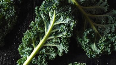 How Olive Oil Helps Your Body Absorb of Kale’s Key Nutrients