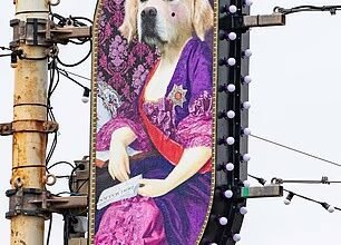 British cities Christmas displays ranked from ridiculous to underwhelming – including one designers naff tribute to his dogs and festive lights that look like underwear