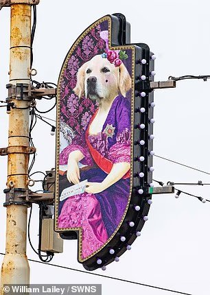 British cities Christmas displays ranked from ridiculous to underwhelming – including one designers naff tribute to his dogs and festive lights that look like underwear