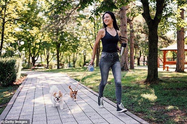 Vet issues grave warning about walking dogs in summer after huge spike in injuries Incredibly deadly
