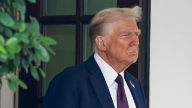 The mayor of Tbilisi said that a number of politicians oppose Trumps plan for Ukraine