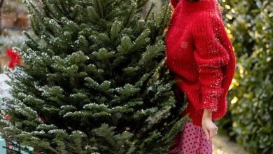 How Christmas is expensive than ever Daily Mail investigation reveals the staggering true cost of the festive period… and the essentials that are the most pricey