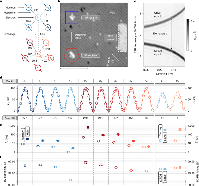 An 11-qubit atom processor in silicon