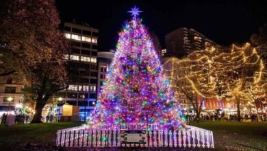 How a 1917 Explosion That Killed 2000 People Sparked a Christmas Tree Exchange That Continues to This Day