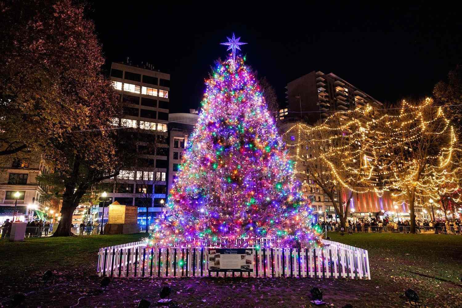 How a 1917 Explosion That Killed 2000 People Sparked a Christmas Tree Exchange That Continues to This Day