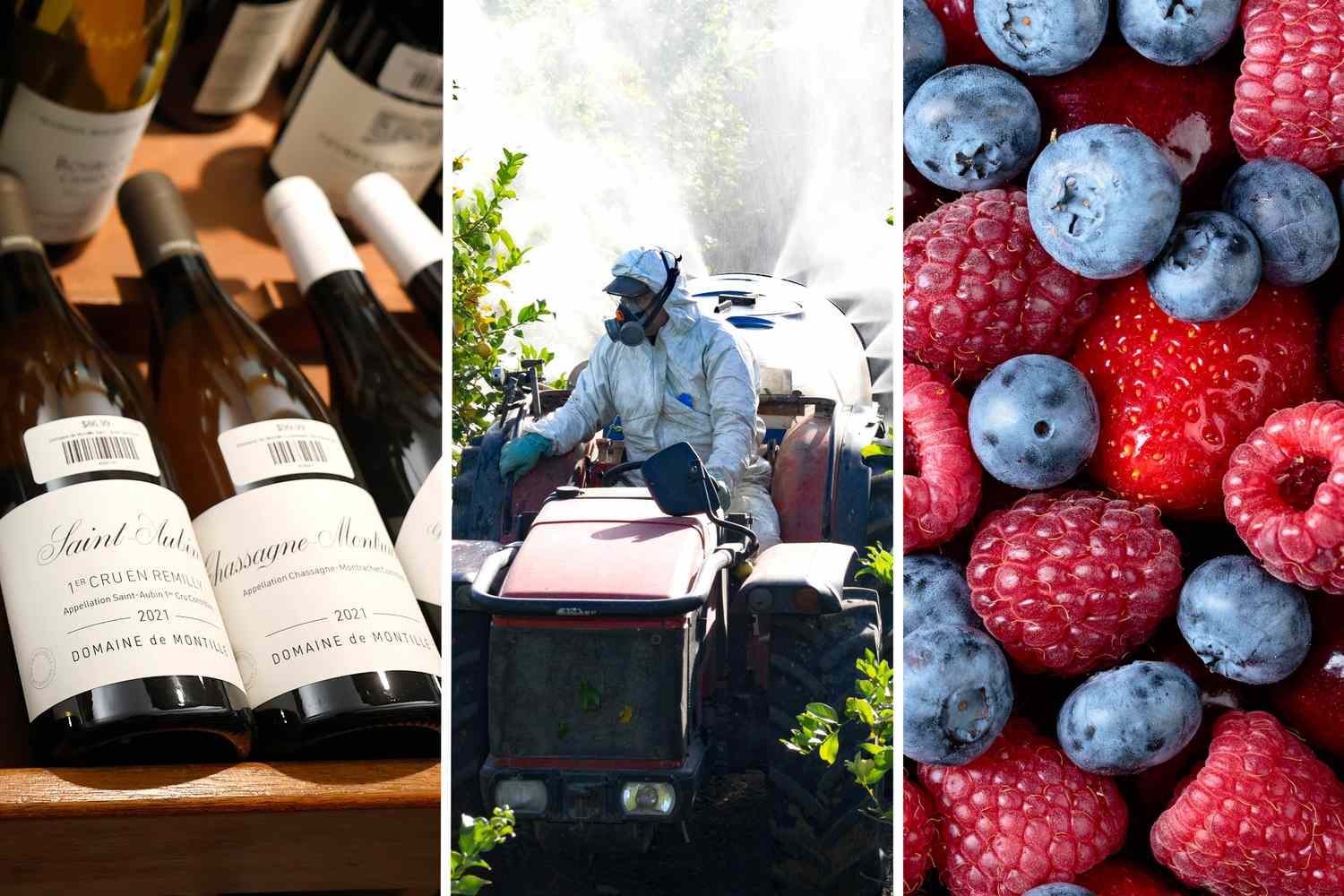 The Most Important Food Policy Changes of 2025