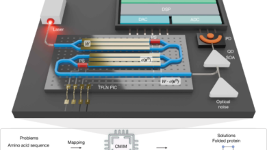 Programmable 200 GOPS Hopfield-inspired photonic Ising machine