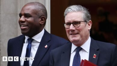 Keir Starmer rejects EU customs union after Lammy comments