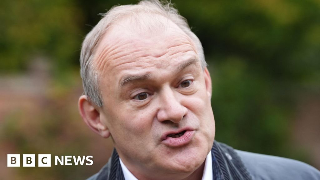 Liberal Democrats write to human rights watchdog over election delays
