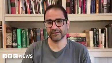 Egyptian dissident should be deported from UK, say Tories