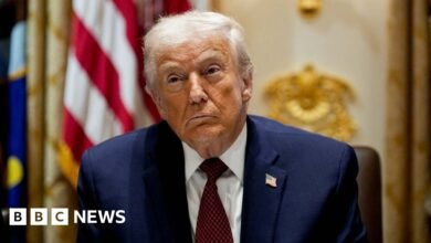 Trump criticises decaying European countries and weak leaders