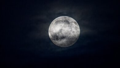 A Russian astronaut expects a fierce international conflict to break out over the moon
