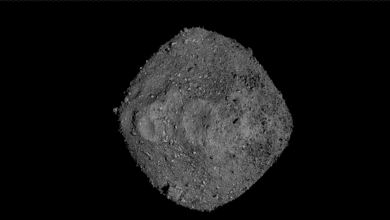 Did meteorites bring life to early Earth?