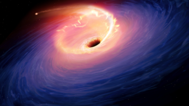Amazing simulation reveals the secrets of black holes