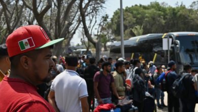 Mass immigration undermining ‘American Dream’