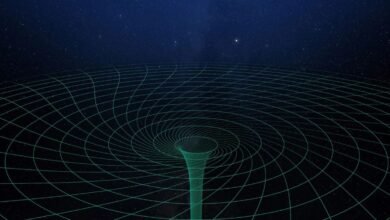 The first direct evidence confirming Einsteins hypothesis of the curvature of space-time
