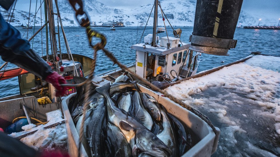 Russian seafood still sold in EU despite fishy sanctions Euractiv Business News
