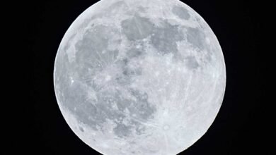 Roscosmos plans to build a power plant on the Moon by 2036