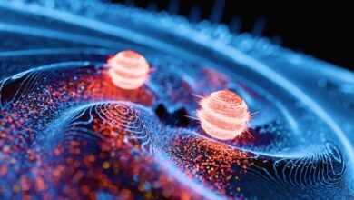 How the delayed choice quantum eraser experiment got us to rethink reality