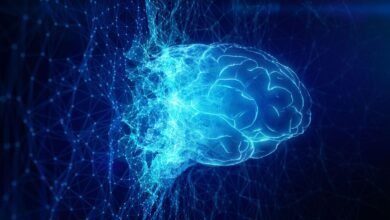 Using AI to Find Information Could Diminish Your Knowledge, Study Finds ScienceAlert