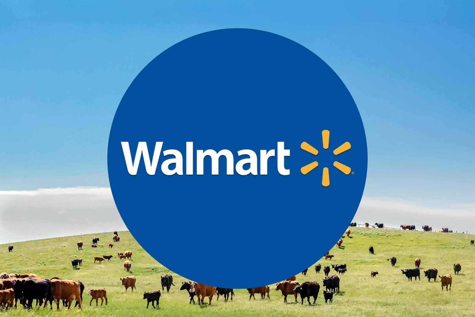 Why Walmart Is the Best Store for Grass-Fed Ground Beef Why Walmart Is the Best Store for Grass-Fed Ground Beef
