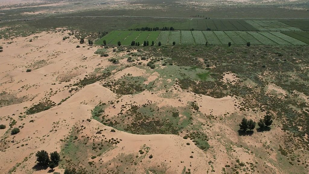 Chinas Great Green Wall The giant artificial forest designed to slow the expansion of 2 deserts Chinas Great Green Wall The giant artificial forest designed to slow the expansion of 2 deserts
