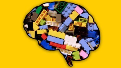 Your Brain Has a Learning Shortcut AI Can’t Copy Your Brain Has a Learning Shortcut AI Can’t Copy