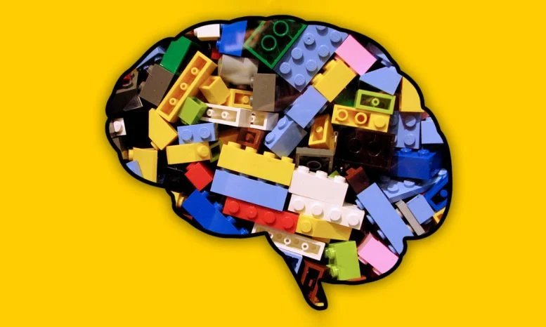 Your Brain Has a Learning Shortcut AI Can’t Copy
