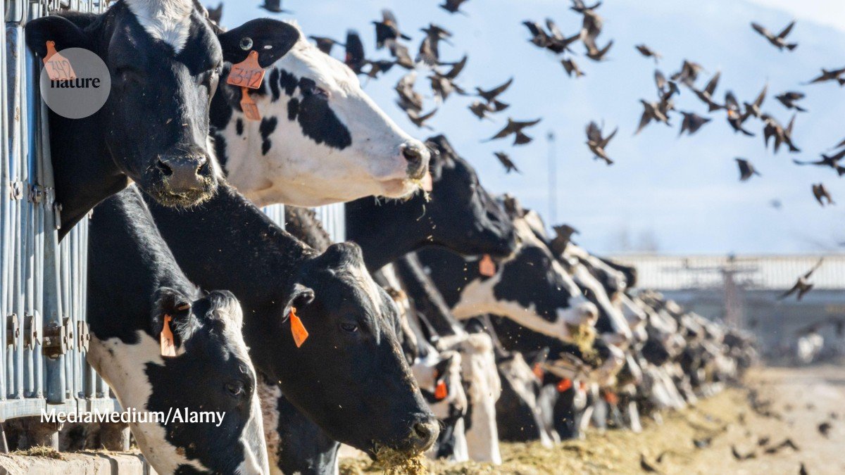 Could tracking animals’ health help to avert the next pandemic?